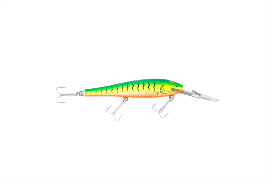 Tilsan Big Barra Mango