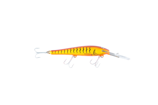 Tilsan Big Barra Golden Sunset