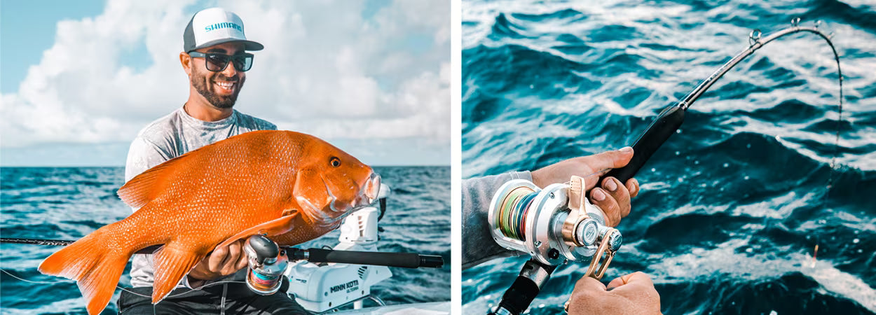 Shimano Terez Spin Rod - Fraser Coast Outdoors