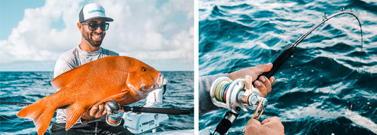 Shimano Terez Spin Rod - Fraser Coast Outdoors