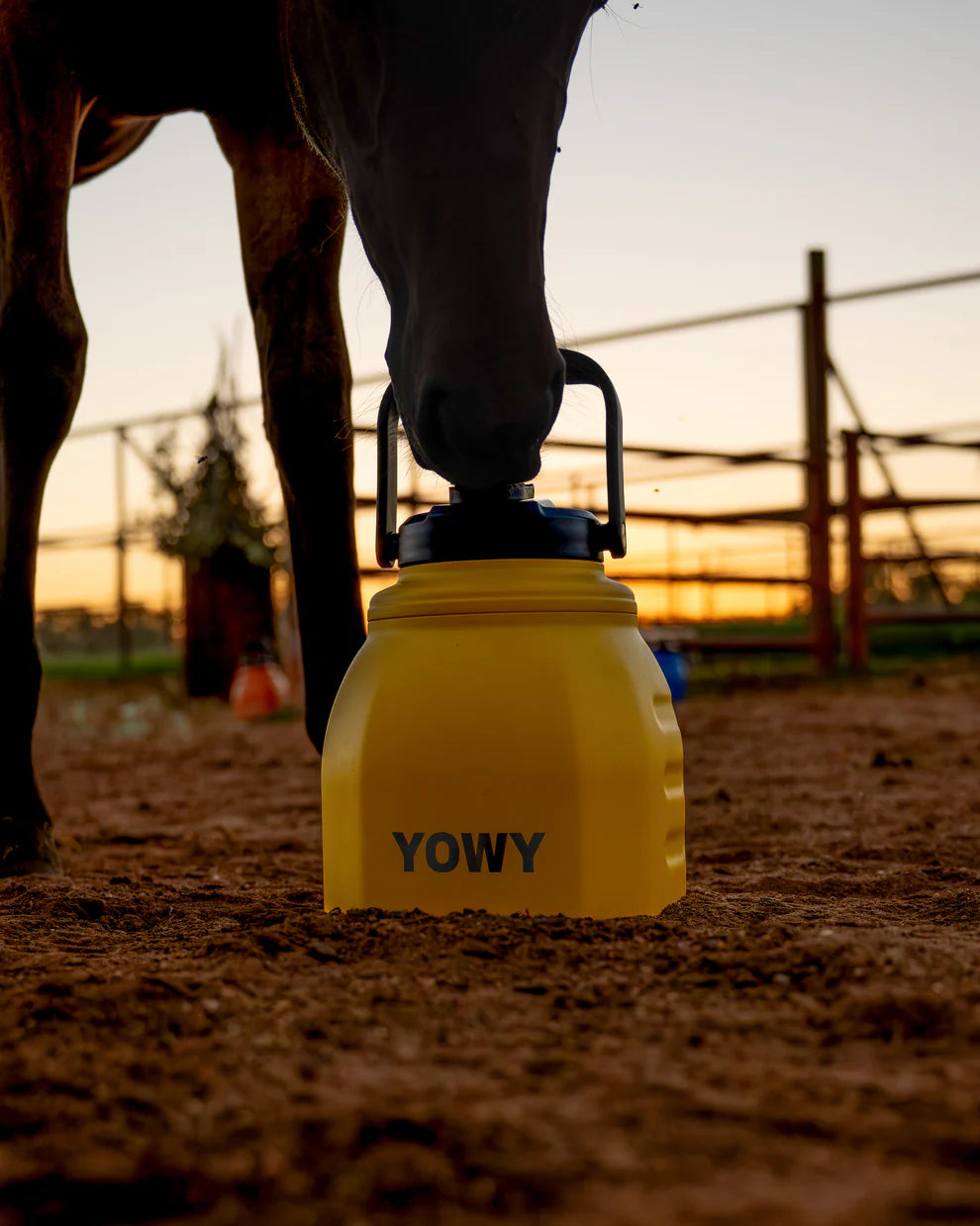 Yowy Water Can 3L - Fraser Coast Outdoors