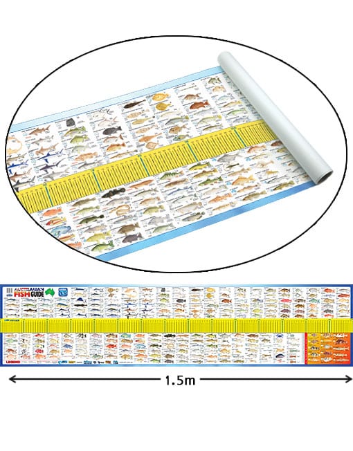 AUSTRALIAN MAXI FISH MAT - 1.5M - Fraser Coast Outdoors