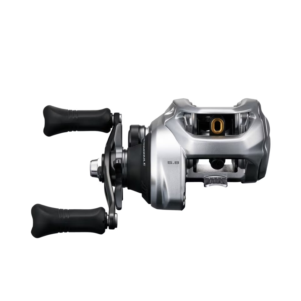 Shimano Tranx 300B 5:8:1 Baitcast Reel - Fraser Coast Outdoors