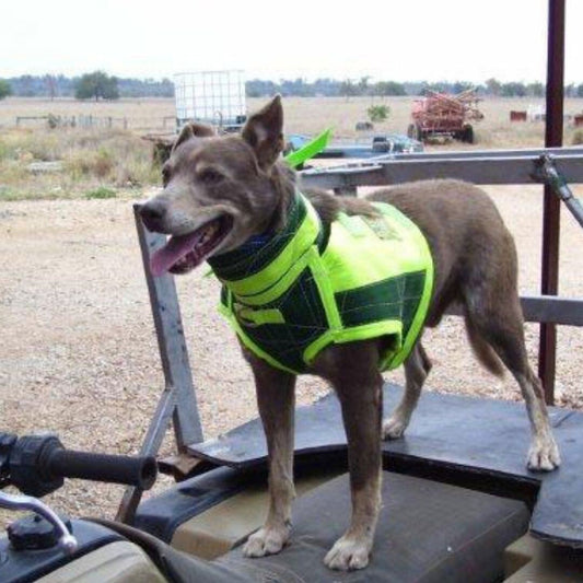 Duncans Full Body Collar S