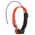 GARMIN TT25 TRACK & TRAIN COLLAR ONLY - Fraser Coast Outdoors