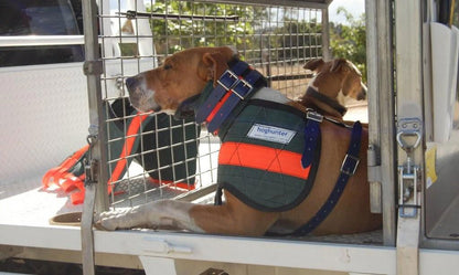 Hog Hunter Canvas Chestplate Full Body - Fraser Coast Outdoors