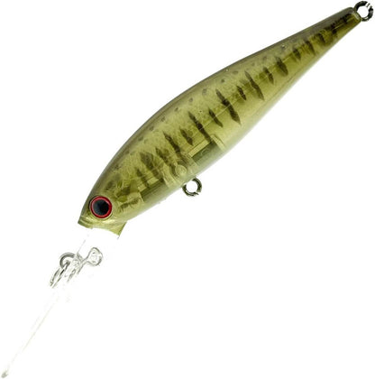 Lucky Craft Pointer 65 XD - Fraser Coast Outdoors